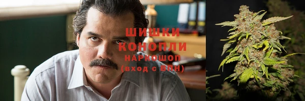стафф Кодинск
