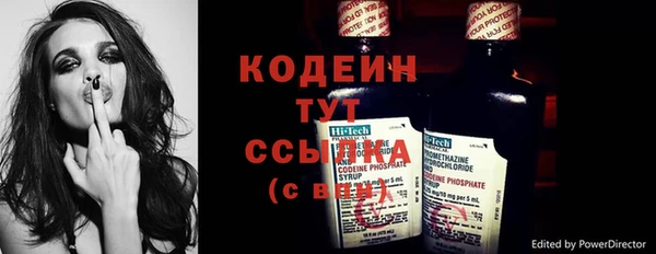 стафф Кодинск