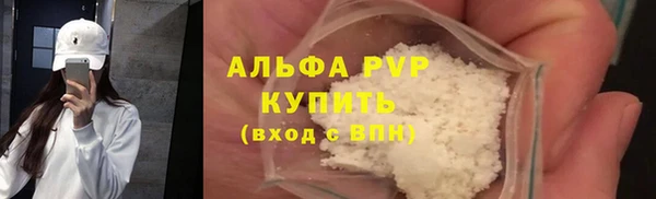 стафф Кодинск
