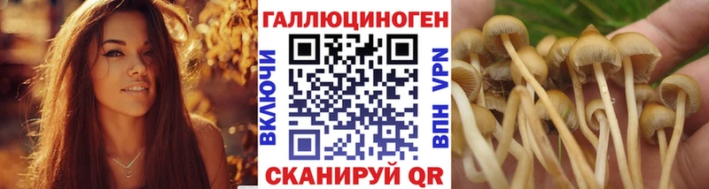 Купить закладки Воркута Галлюциногенные грибы прущие грибы